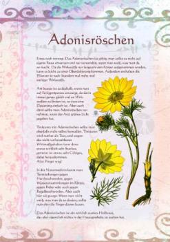Download Artikelset xxl: alle 345 Bilder A4 - deutsche Beschriftung in originaler hochauflösender Druckqualität  als Download